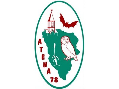 ATENA 78