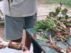  <a style='color: #fff;' href='/uploaded/photo/atelier-endives-68f64ded006d2.jpg'>(Télécharger)</a>