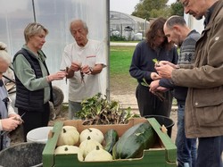  <a style='color: #fff;' href='/uploaded/photo/atelier-endives-68f64dee2dc02.jpg'>(Télécharger)</a>