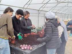  <a style='color: #fff;' href='/uploaded/photo/enfouissement-des-jacinthes-68f652912a19f.jpg'>(Télécharger)</a>