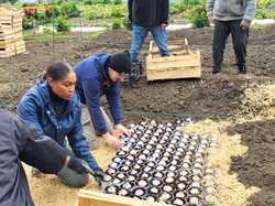  <a style='color: #fff;' href='/uploaded/photo/enfouissement-des-jacinthes-68f652916f5ea.jpg'>(Télécharger)</a>