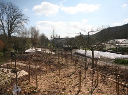 mini_le-bec-hellouin-et-la-ferme-du-bec-permaculture-5705696fdb866.jpg