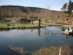 mini_le-bec-hellouin-et-la-ferme-du-bec-permaculture-57056974ecbdc.jpg