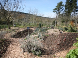 mini_le-bec-hellouin-et-la-ferme-du-bec-permaculture-5705697ef006c.jpg