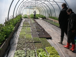  <a style='color: #fff;' href='/uploaded/photo/le-bec-hellouin-et-la-ferme-du-bec-permaculture-570569cee15e6.jpg'>(Télécharger)</a>