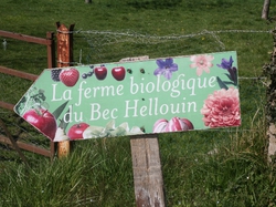 mini_le-bec-hellouin-et-la-ferme-du-bec-permaculture-57056a1152df6.jpg